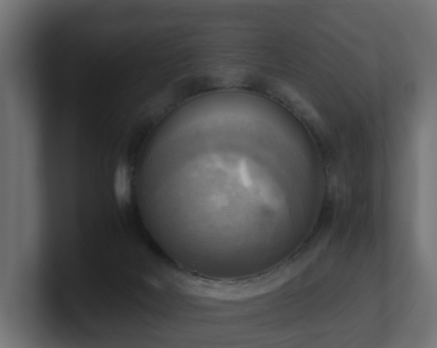 X0000100930026200806241415