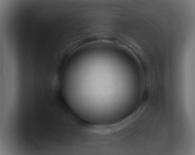 X0000100930029200806241415