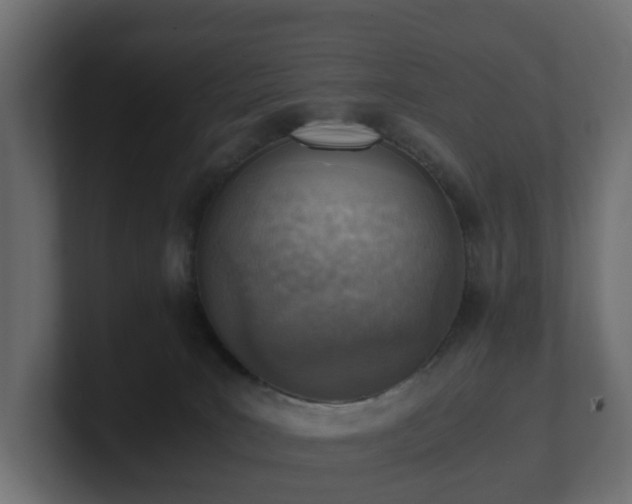 X0000100930035200806241415