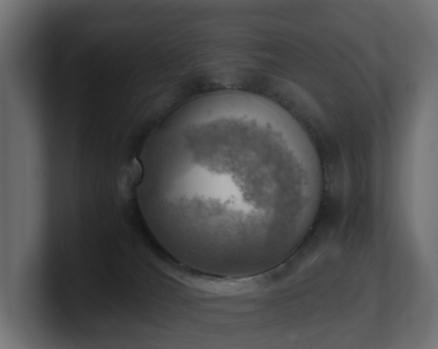 X0000100930036200806241415