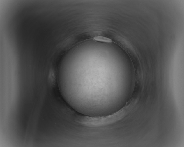 X0000100930037200806241415