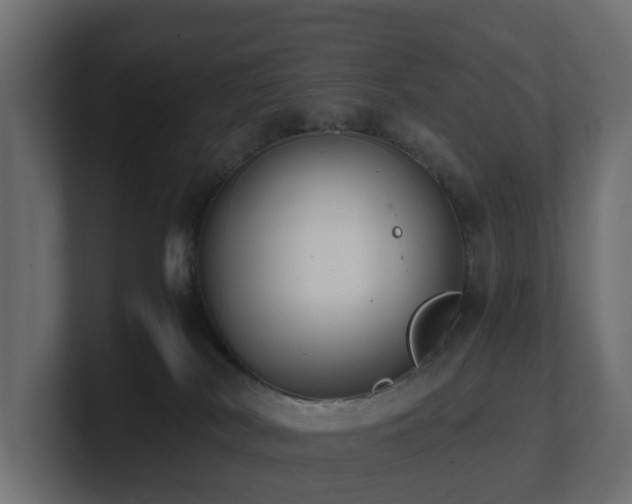 X0000100930038200806241415