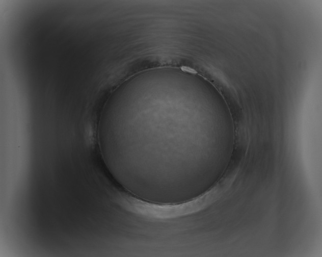 X0000100930039200806241415