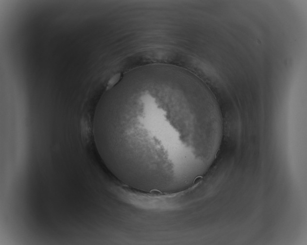 X0000100930040200806241415