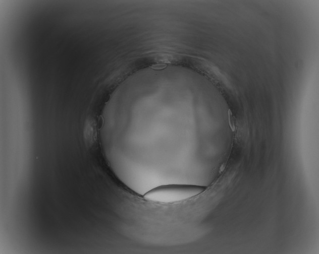 X0000100930043200806241415