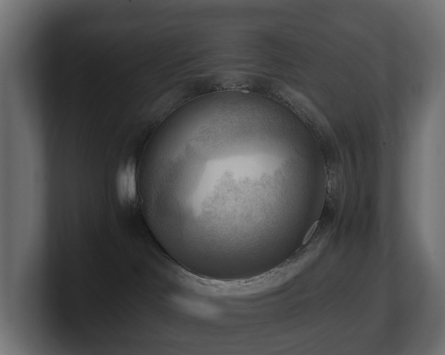 X0000100930046200806241415