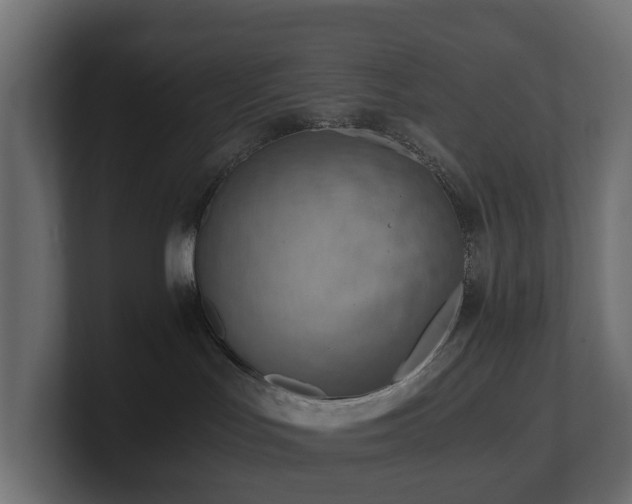 X0000100930047200806241415