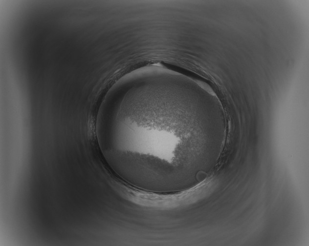 X0000100930048200806241415