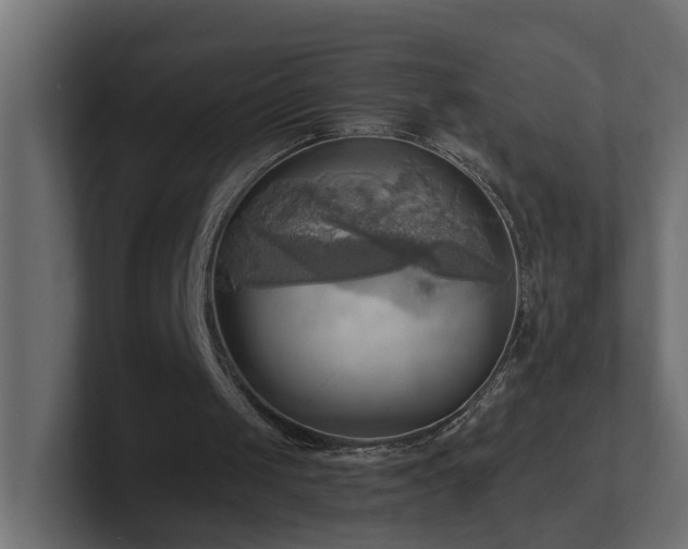 X0000100930049200806241414