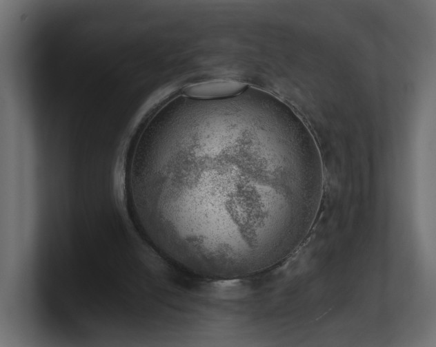 X0000100930054200806241414