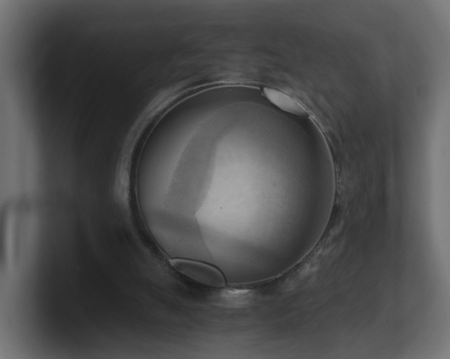 X0000100930055200806241414