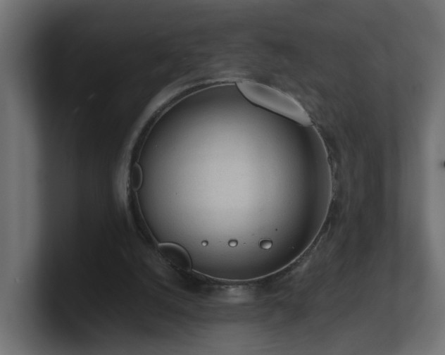 X0000100930056200806241414