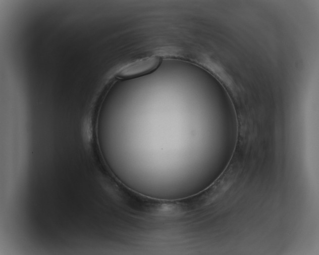 X0000100930060200806241414