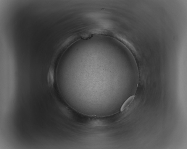 X0000100930062200806241414