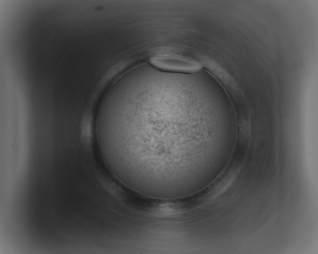 X0000100930064200806241414