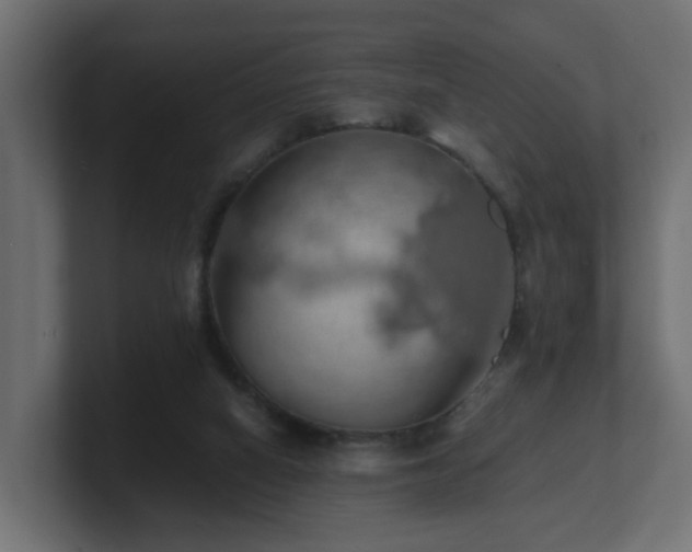 X0000100930066200806241414