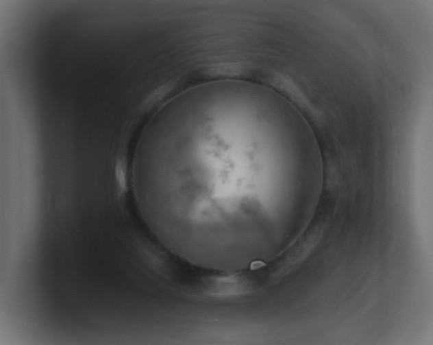 X0000100930068200806241414