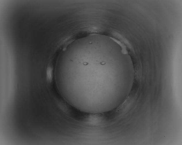 X0000100930070200806241414