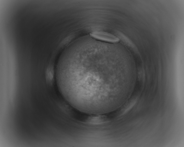 X0000100930072200806241414