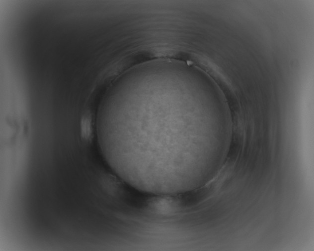 X0000100930074200806241414