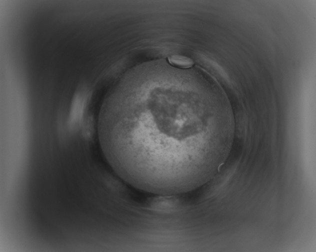 X0000100930077200806241414