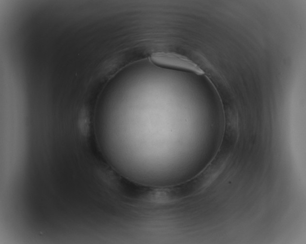 X0000100930080200806241414