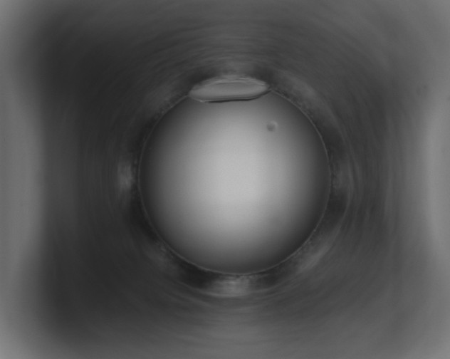 X0000100930084200806241414