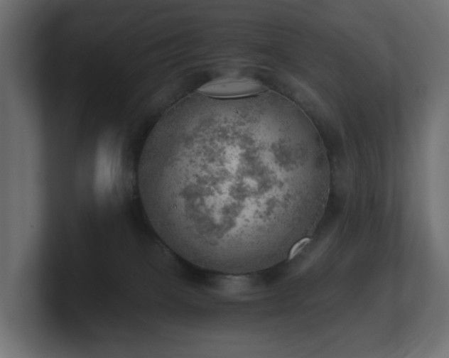 X0000100930085200806241414