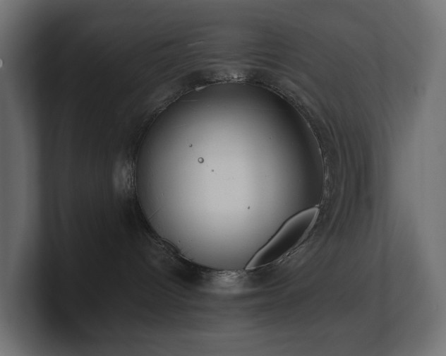 X0000100930096200806241415