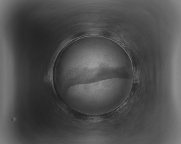 X0000100930099200806241414