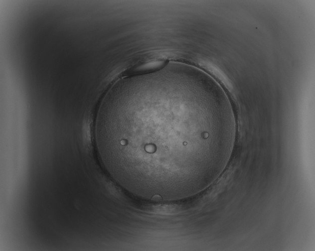 X0000100930105200806241414