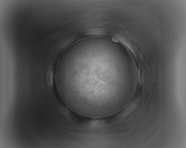 X0000100930109200806241414