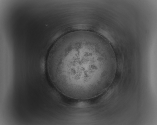 X0000100930111200806241414