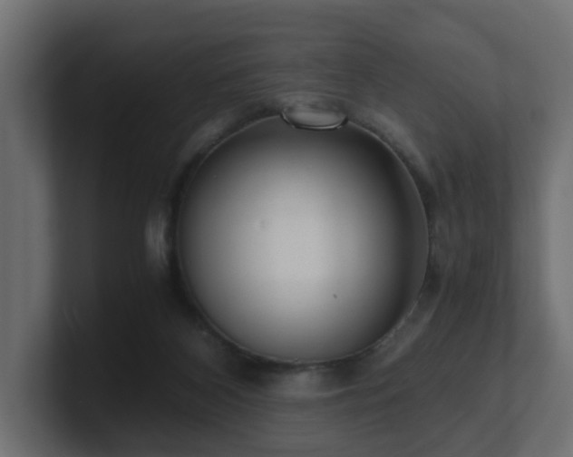 X0000100930116200806241414