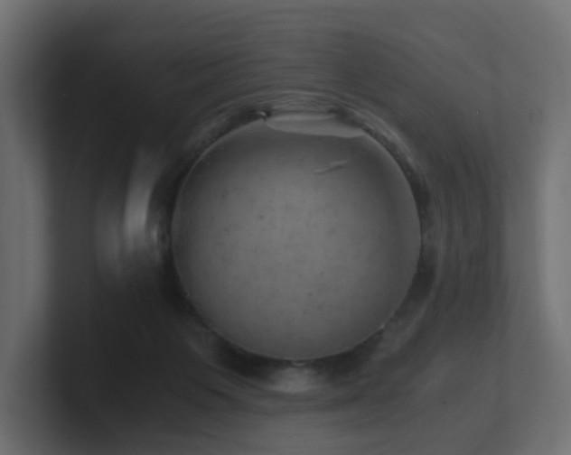 X0000100930119200806241414