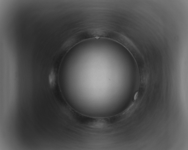 X0000100930124200806241414