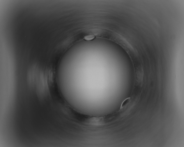 X0000100930126200806241414