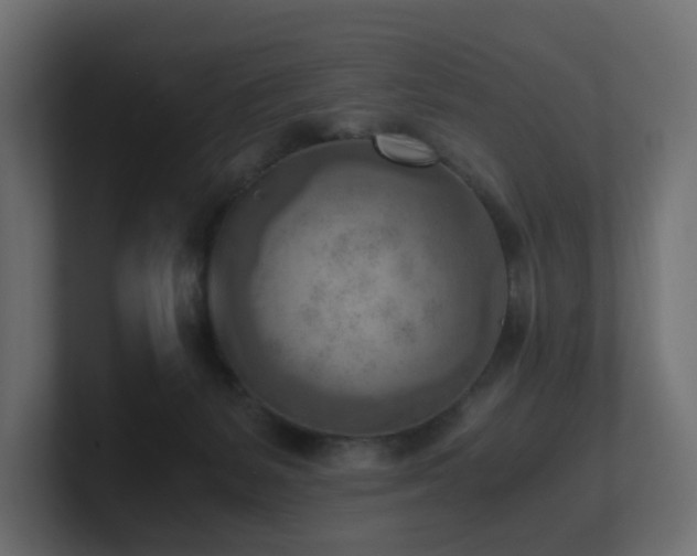 X0000100930127200806241414