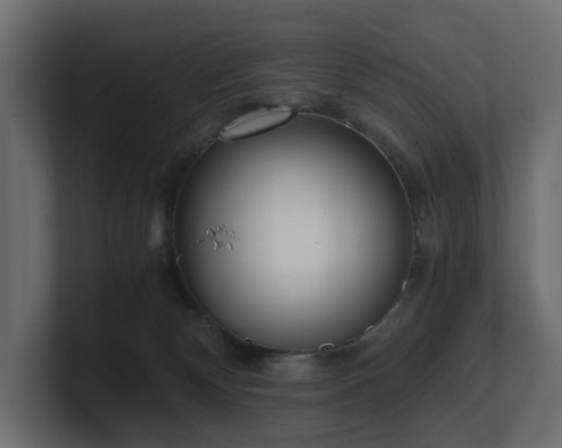 X0000100930132200806241413