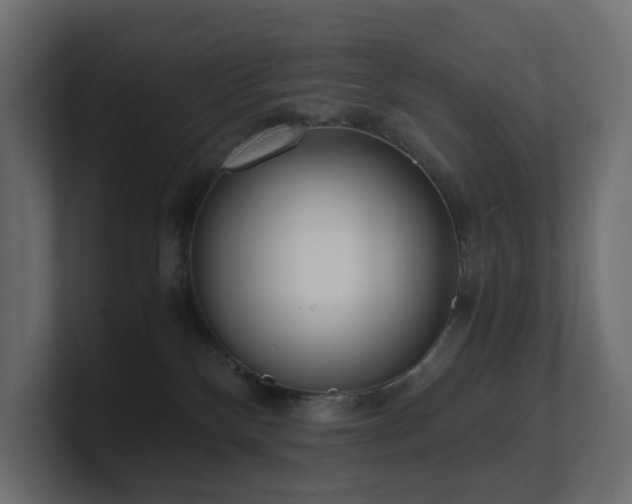 X0000100930136200806241413