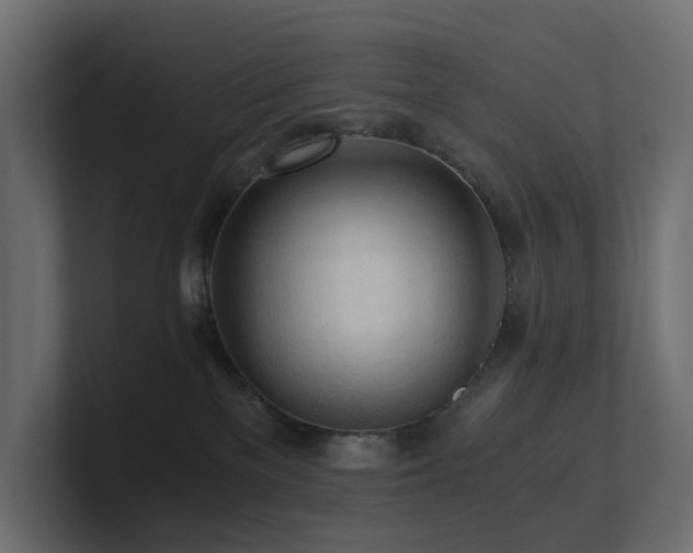 X0000100930137200806241413