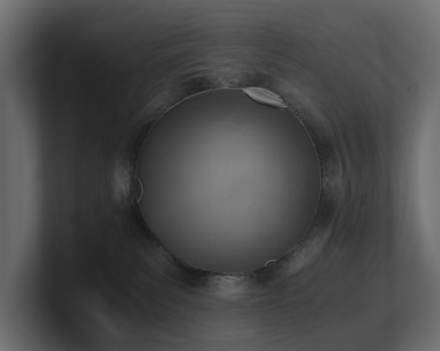 X0000100930139200806241413