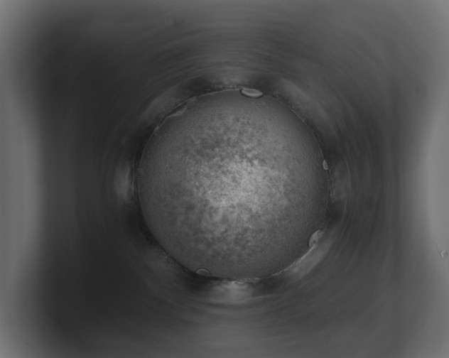 X0000100930140200806241413