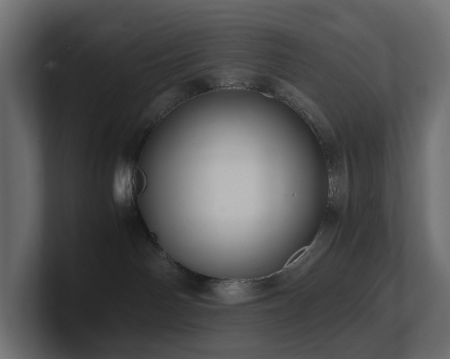 X0000100930142200806241413