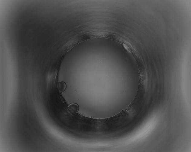 X0000100930143200806241413