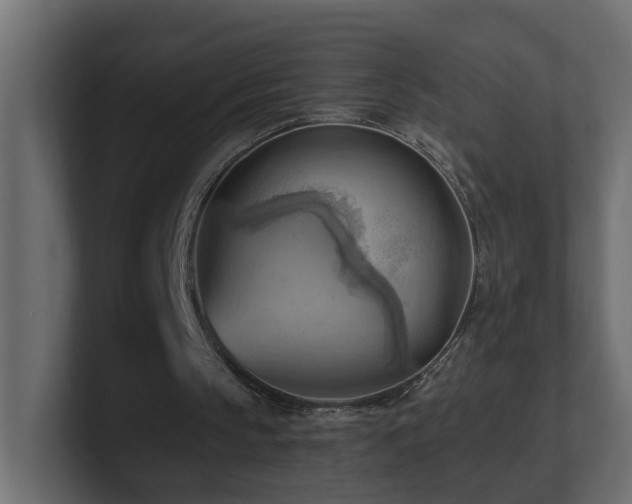 X0000100930145200806241413