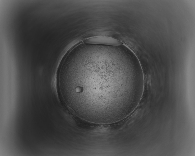 X0000100930148200806241413