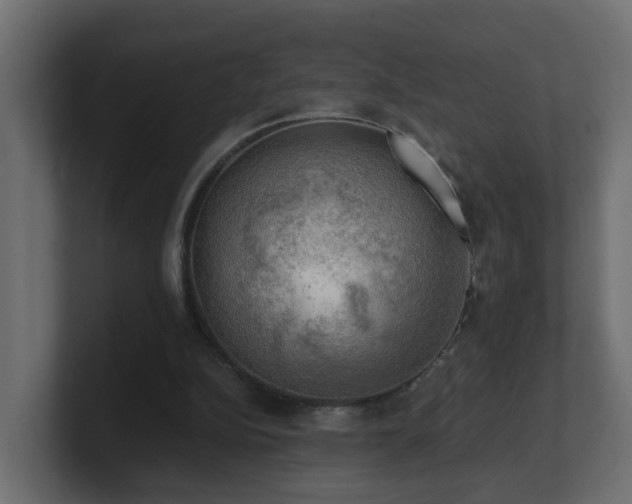 X0000100930152200806241413