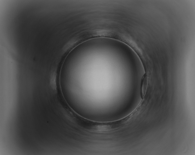 X0000100930154200806241413