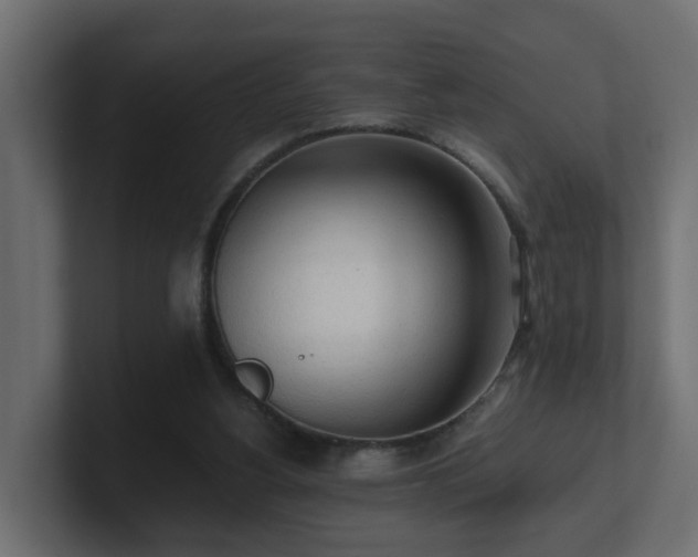 X0000100930156200806241413